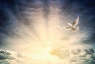 light, peace, hope