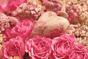 roses, heart, noble roses