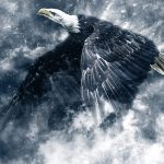 eagle, snow, wings