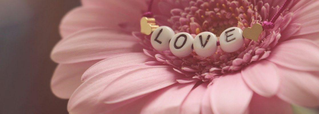 love, bracelet, gerbera