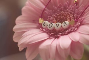 love, bracelet, gerbera
