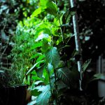 color write, fresh, pa-4519740.jpg