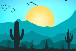 mountains, cactus, sun-7503511.jpg