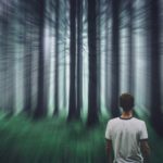 forest, person, surreal-7772371.jpg