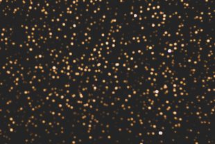 glitter, gold, sparkle-4916366.jpg