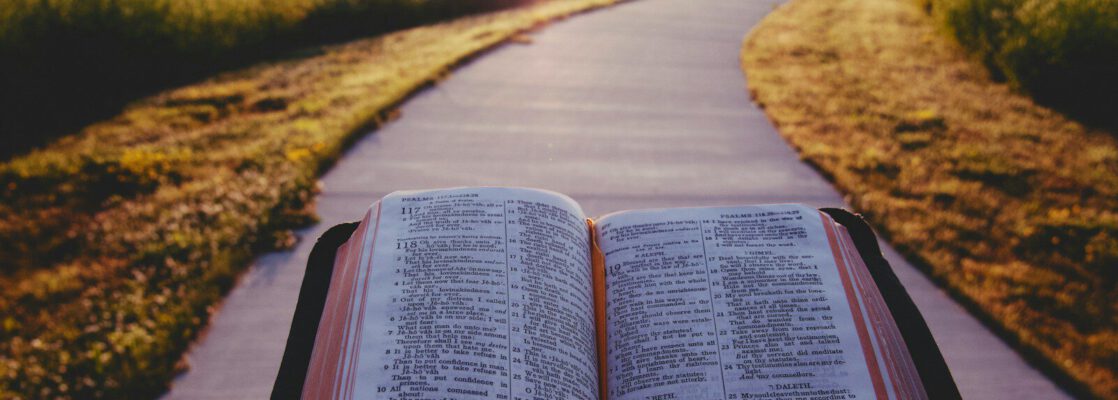 opened book on brown field during daytime