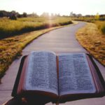 opened book on brown field during daytime
